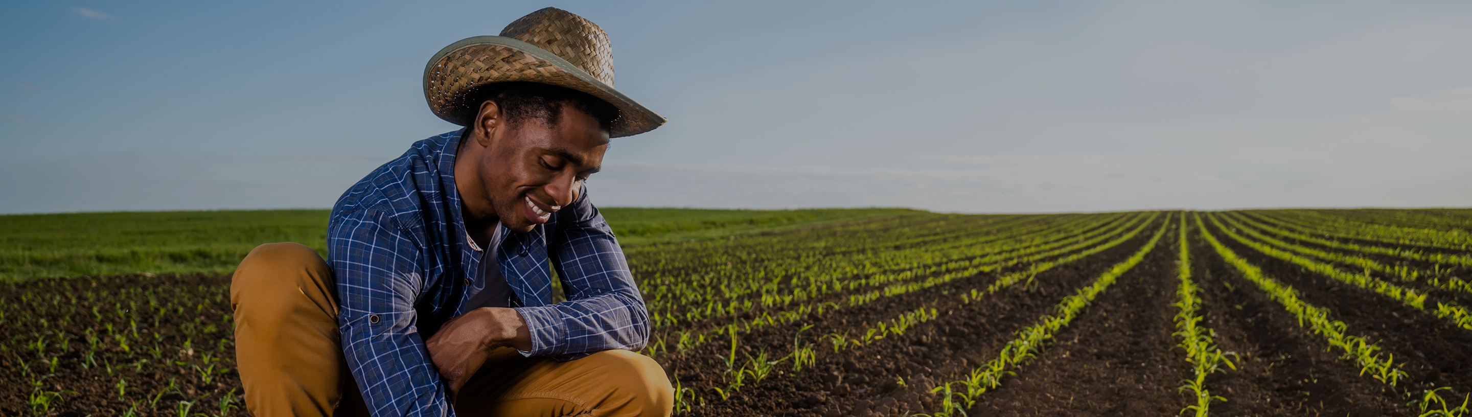 Product_Page_banner 31